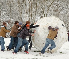 Snowball attr Kamyar Adl crop