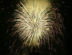 Fireworks Adam Berman